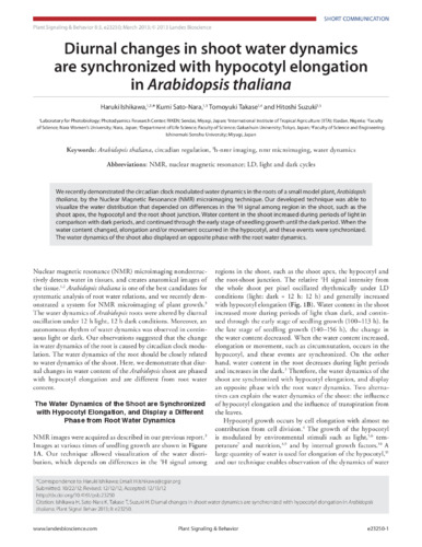 Diurnal changes in shoot water dynamics are synchronized with hypocotyl elongation in Arabidopsis thaliana
