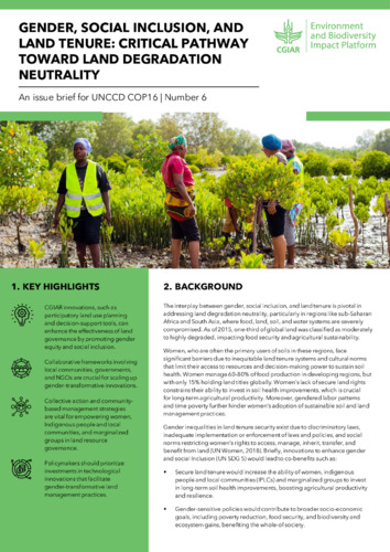 Gender, social inclusion, and land tenure: Critical pathway toward land degradation neutrality