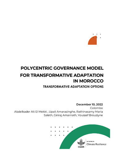 Polycentric governance model for transformative adaptation in Morocco: Transformative adaptation options