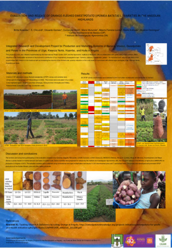 Evaluation and release of orange-fleshed sweetpotato (Ipomea batatas L.) varieties in the Angolan highlands.