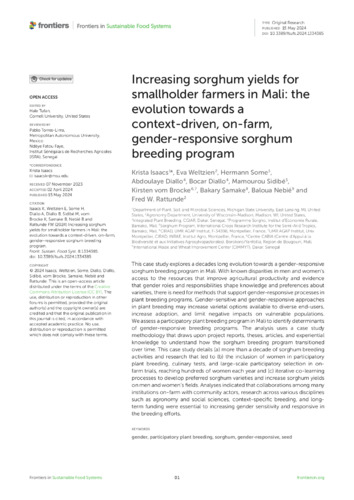 Increasing sorghum yields for smallholder farmers in Mali: the evolution towards a context-driven, on-farm, gender-responsive sorghum breeding program