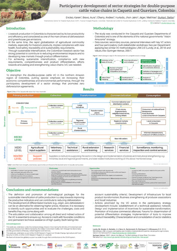 Participatory Development of Sector Strategies for Double-Purpose Cattle Value Chains in Caquetá and Guaviare, Colombia