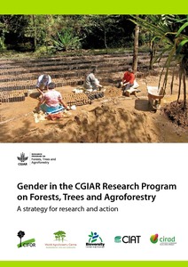 CGIAR Research Program on Forests, Trees and Agroforestry - Gender Strategy