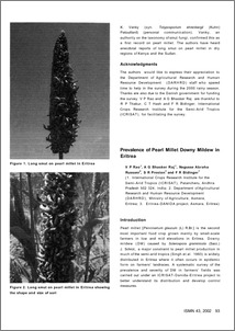 Prevalence of pearl millet downy mildew in Eritrea
