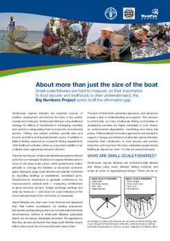 About more than just the size of the boat: Big Numbers Project