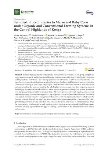 Termite-induced injuries to maize and baby corn under organic and conventional farming systems in the Central Highlands of Kenya