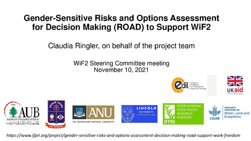 Gender-Sensitive Risks and Options Assessment for Decision Making (ROAD) to Support WiF2