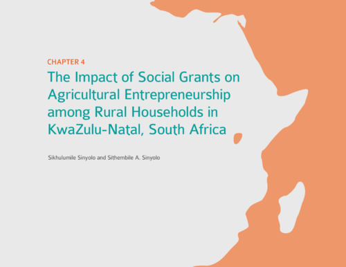 The impact of social grants on agricultural entrepreneurship among rural households in KwaZulu-Natal, South Africa