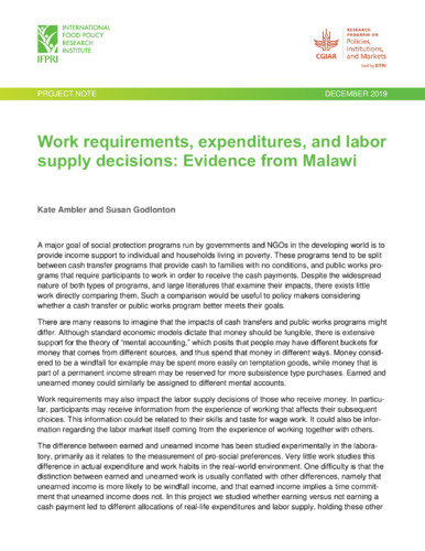 Work requirements, expenditures, and labor supply decisions: Evidence from Malawi