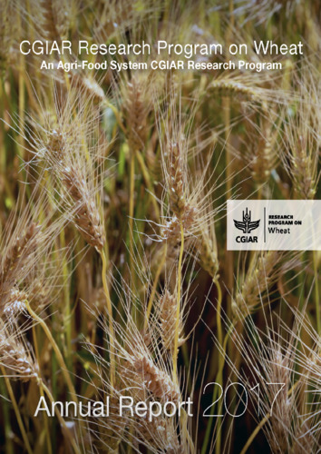 Annual report 2017: CGIAR Research Program on Wheat