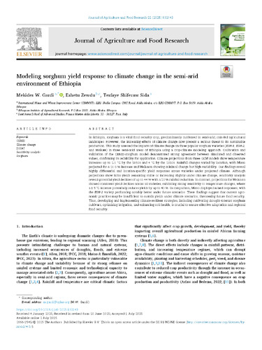 Modeling sorghum yield response to climate change in the semi-arid environment of Ethiopia