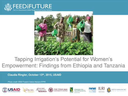 Tapping irrigation's potential for women's empowerment: Findings from Ethiopia and Tanzania