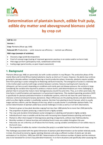 Determination of plantain bunch, edible fruit pulp, edible dry matter and aboveground biomass yield by crop cut