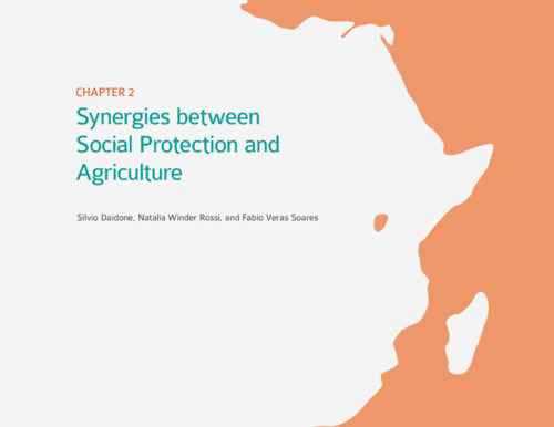 Synergies between social protection and agriculture