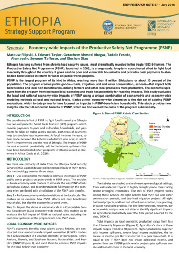 Synopsis: Economy-wide impacts of the Productive Safety Net Programme (PSNP)