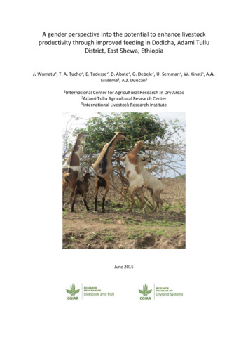A gender perspective into the potential to enhance livestock productivity through improved feeding in Dodicha, Adami Tullu District, East Shewa, Ethiopia