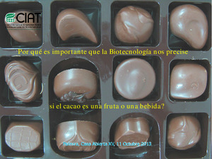 Por qué es importante que la biotecnología nos precise, si el cacao es una bebida o una fruta?