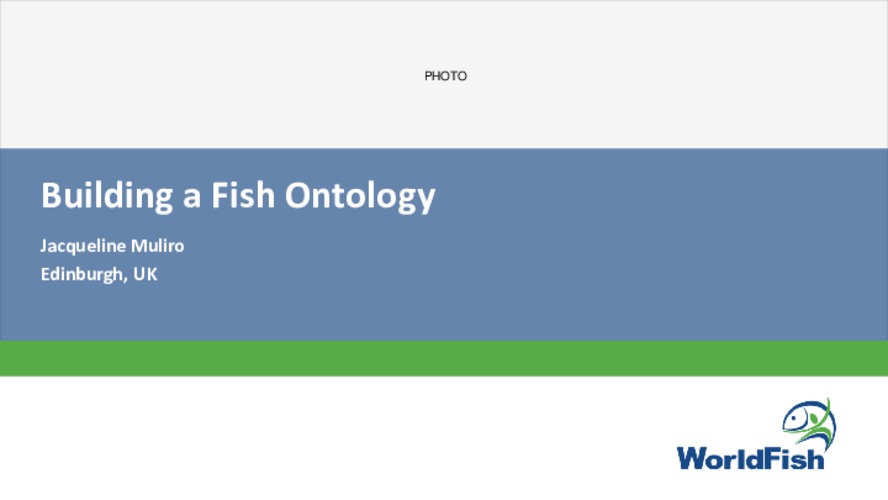 Developing the Fish Ontology