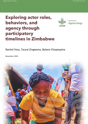 Exploring actor roles, behaviors, and agency through participatory timelines in Zimbabwe