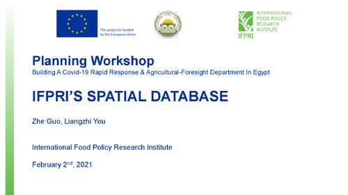 2021.01.21 - EU-IFPRI. GUO