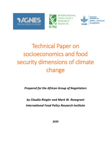 Technical paper on socioeconomics and food security dimensions of climate change