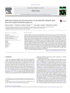 Molecular cloning and characterization of salt inducible dehydrin gene from the C4 plant Pennisetum glaucum