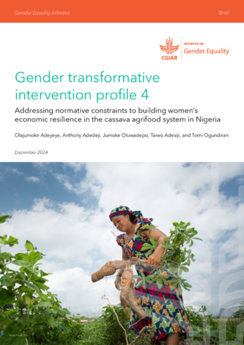 Gender transformative intervention profile 4: Addressing normative constraints to building women’s economic resilience in the cassava agrifood system in Nigeria