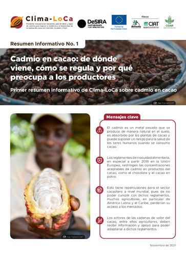 Cadmio en cacao: de dónde viene, cómo se regula y por qué preocupa a los productores