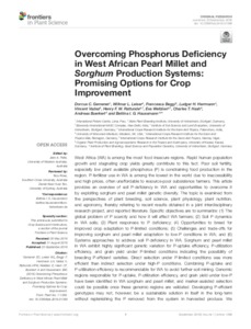 Overcoming Phosphorus Deficiency in West African Pearl Millet and Sorghum Production Systems: Promising Options for Crop Improvement