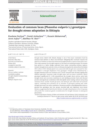 Evaluation of common bean (Phaseolus vulgaris L.) genotypes for drought stress adaptation in Ethiopia