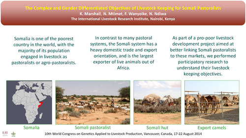 The complex and gender differentiated objectives of livestock keeping for Somali pastoralists