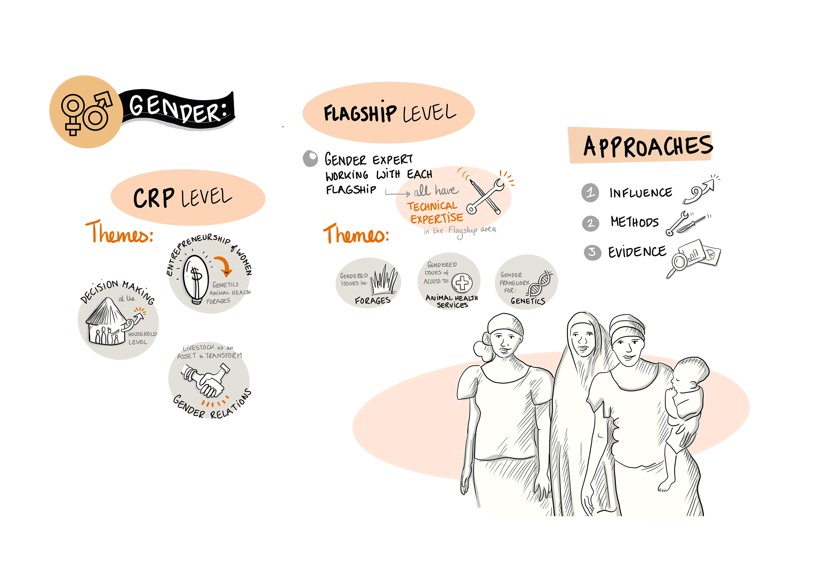 Gender in the Livestock CRP