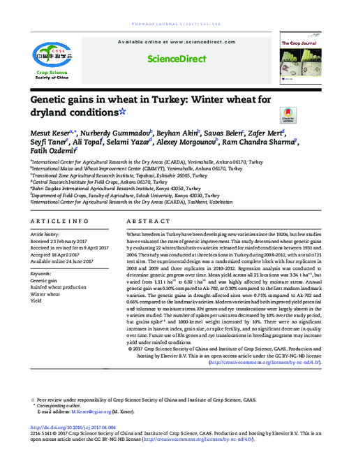 Genetic gains in wheat in Turkey: winter wheat for dryland conditions