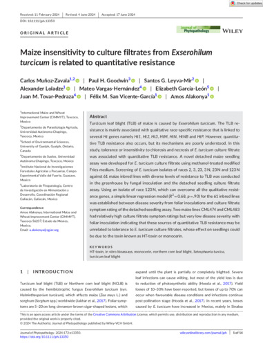 Maize insensitivity to culture filtrates from Exserohilum turcicum is related to quantitative resistance