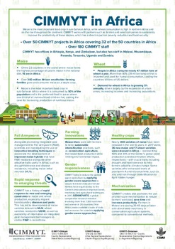 CIMMYT in Africa