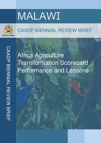 Africa agriculture transformation scorecard performance and lessons for Malawi