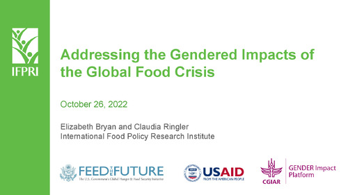 Addressing the Gendered Impacts of the Global Food Crisis
