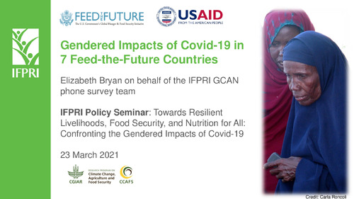 Gendered Impacts of Covid-19 in 7 Feed-the-Future Countries