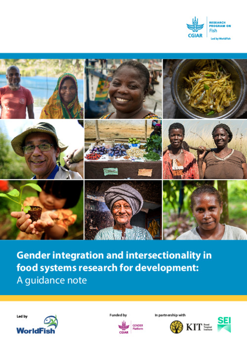 Gender integration and intersectionality in food systems research for development: A guidance note