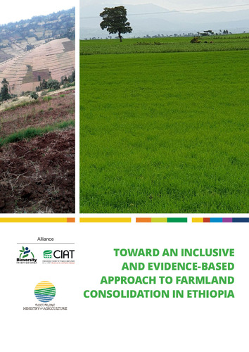 Toward an inclusive and evidence-based approach to farmland consolidation in Ethiopia