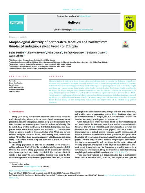 Morphological diversity of northeastern fat-tailed and northwestern thin-tailed indigenous sheep breeds of Ethiopia