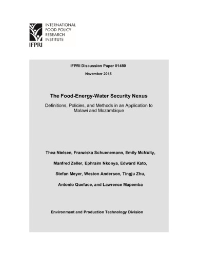 The food-energy-water security nexus: Definitions, policies, and methods in an application to Malawi and Mozambique