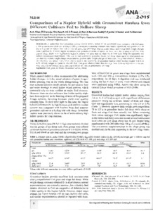 Comparison of a Napier Hybrid with Groundnut Haulms from Different Cultivars Fed to Nellore Sheep