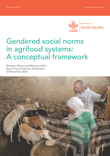 Gendered social norms in agrifood systems: A conceptual framework