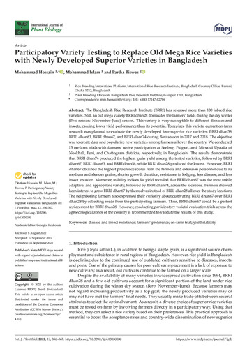 Participatory Variety Testing to Replace Old Mega Rice Varieties with Newly Developed Superior Varieties in Bangladesh