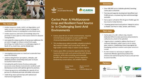 Cactus Pear: A Multipurpose Crop and Resilient Feed Source in Dry Environments