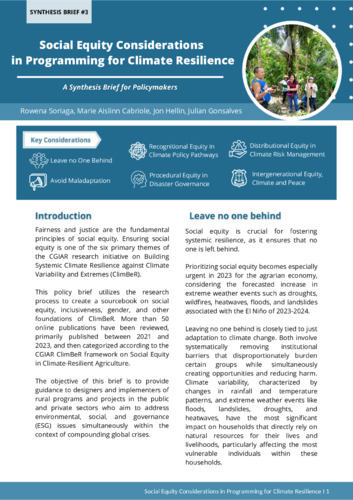 Social Equity Considerations in Programming for Climate Resilience