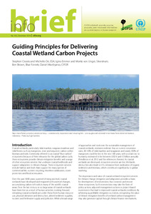 Guiding principles for delivering coastal wetland carbon projects
