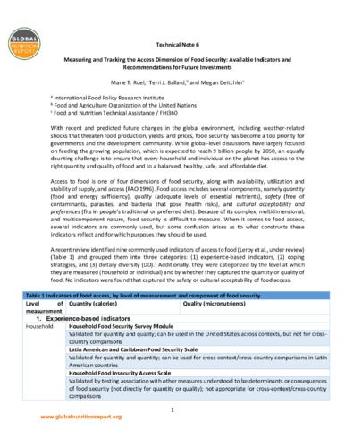 Measuring and tracking the access dimension of food security: Available indicators and recommendations for future investments