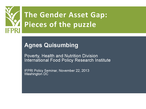 The Gender Asset Gap: Pieces of the puzzle